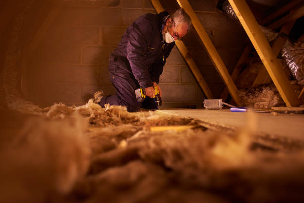 Best Insulation Maintenance and Repair in Roslyn Heights, NY